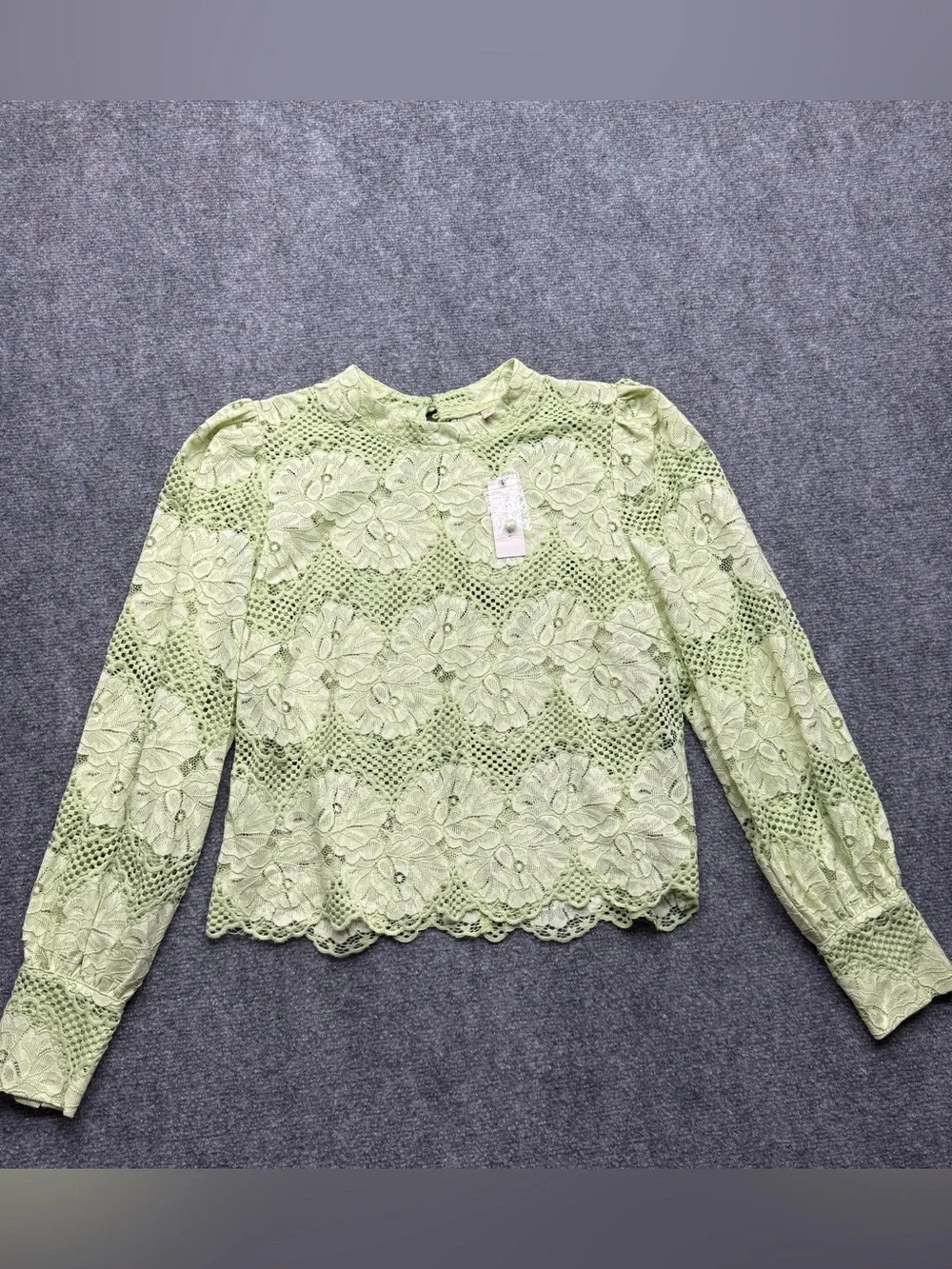 Anthropologie Dolan Woman’s Medium Nwt Lace Floral Long-Sleeve Top Light Green